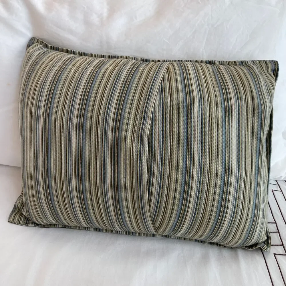 Peacock Alley‎ Pair of Striped Throw Pillows, One Feather